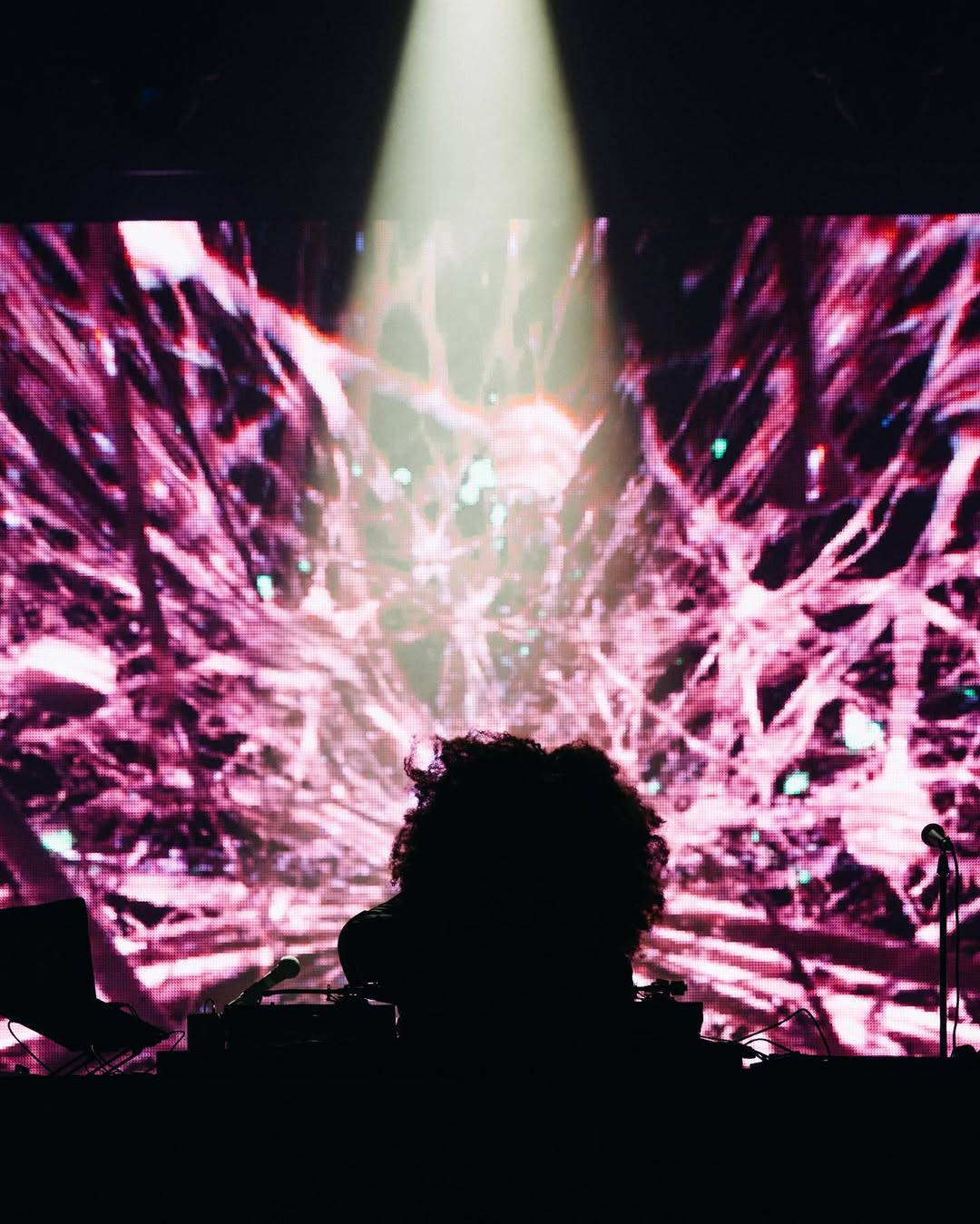 Erykah Badu performing, fractal visuals in vibrant pink behind